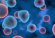 Egzosomy a stymulacja komórkowa