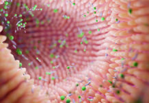 Zdrowa skóra – rezultat wpływu wielu czynników