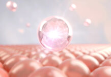 Komórki zombie kluczem do długowieczności?