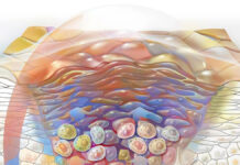 Personalizowana korneoterapia – fundament skutecznych zabiegów i pielęgnacji domowej