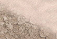 Ceramidy naskórka w zdrowej i zmienionej patologicznie skórze