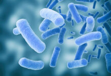 Pasteryzowana Akkermansia muciniphila MucT. Przełom w interwencji przeciwstarzeniowej