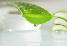 Zastosowanie aloesu w dermatologii i kosmetologii