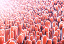 Oś jelito-skóra. Wpływ wybranych dysfunkcji jelit na stan skóry