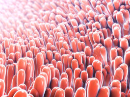 Oś jelito-skóra. Wpływ wybranych dysfunkcji jelit na stan skóry