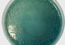 Kontrola sanepidu w salonie beauty