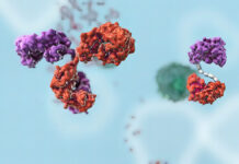 Autofagia – wielkie porządki w komórkach organizmu