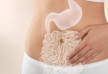 Pasteryzowana Akkermansia muciniphila MucT jako element osi jelitowo-skórnej w ujęciu systemowym i cech długowieczności