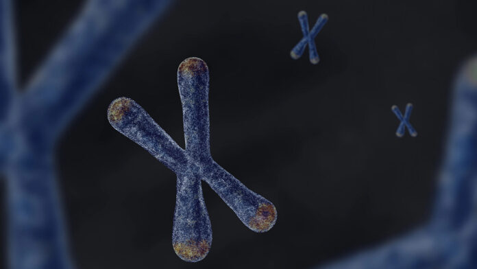 ke-2026-05_083